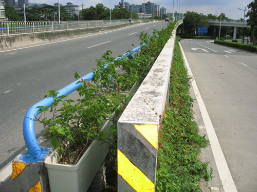 市政绿化带花(huā)盆