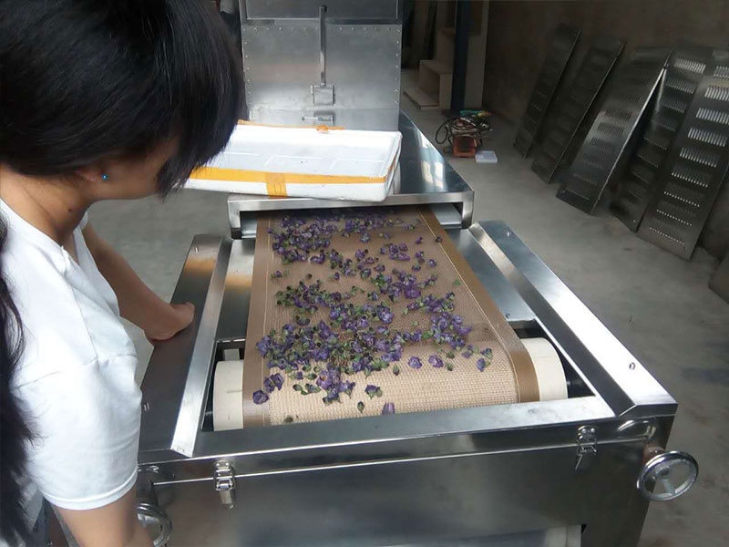 金銀花微波烘幹機
